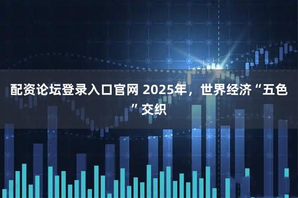 配资论坛登录入口官网 2025年，世界经济“五色”交织